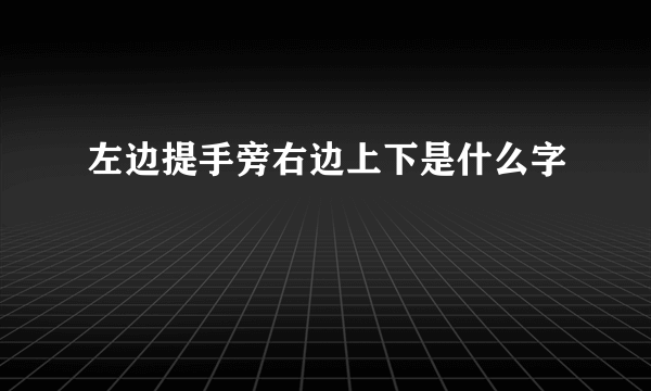 左边提手旁右边上下是什么字