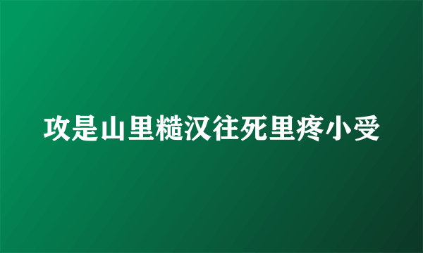 攻是山里糙汉往死里疼小受