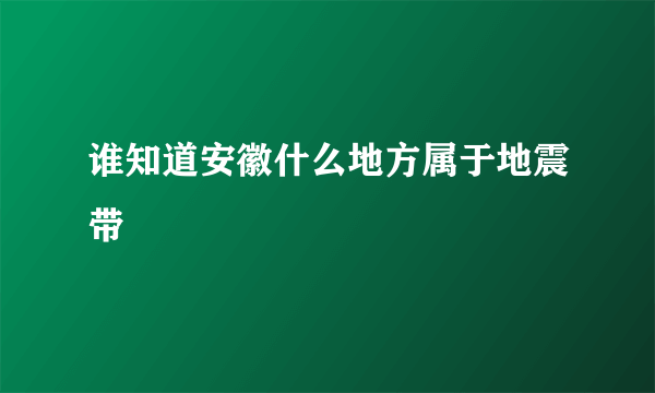 谁知道安徽什么地方属于地震带