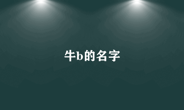 牛b的名字