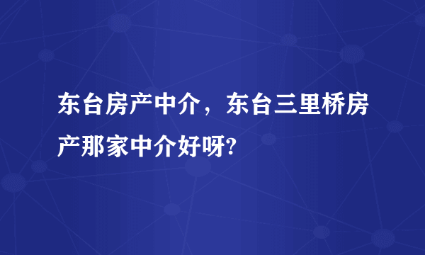 东台房产中介，东台三里桥房产那家中介好呀?