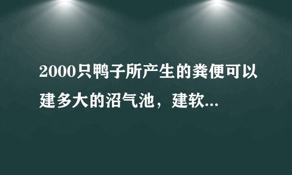 2000只鸭子所产生的粪便可以建多大的沼气池，建软体沼气池需要投资多少？