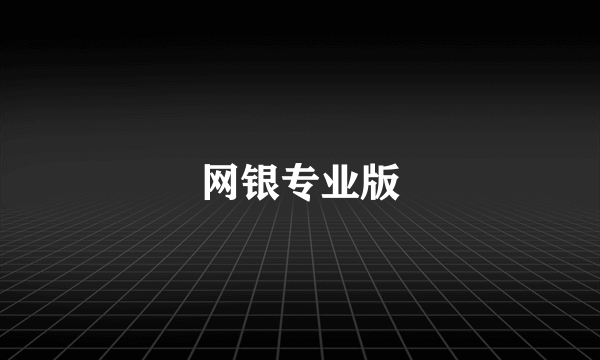 网银专业版