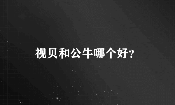 视贝和公牛哪个好？