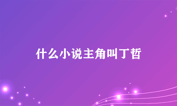 什么小说主角叫丁哲