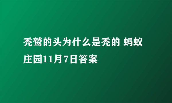 秃鹫的头为什么是秃的 蚂蚁庄园11月7日答案