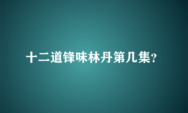 十二道锋味林丹第几集？