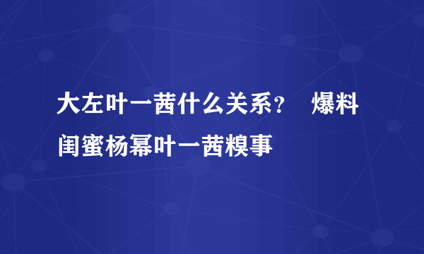 大左叶一茜什么关系？  爆料闺蜜杨幂叶一茜糗事