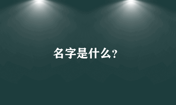 名字是什么？