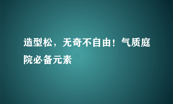 造型松，无奇不自由！气质庭院必备元素