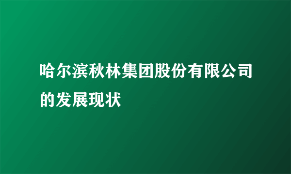 哈尔滨秋林集团股份有限公司的发展现状