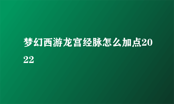 梦幻西游龙宫经脉怎么加点2022