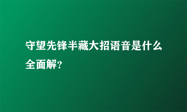 守望先锋半藏大招语音是什么全面解？