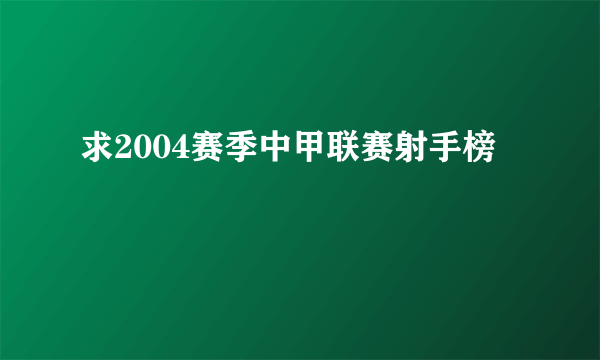 求2004赛季中甲联赛射手榜