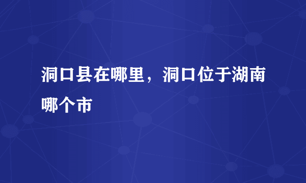 洞口县在哪里，洞口位于湖南哪个市