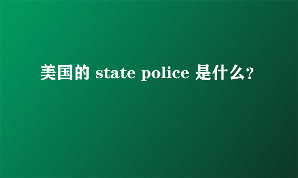 美国的 state police 是什么？