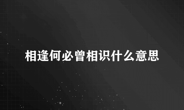 相逢何必曾相识什么意思