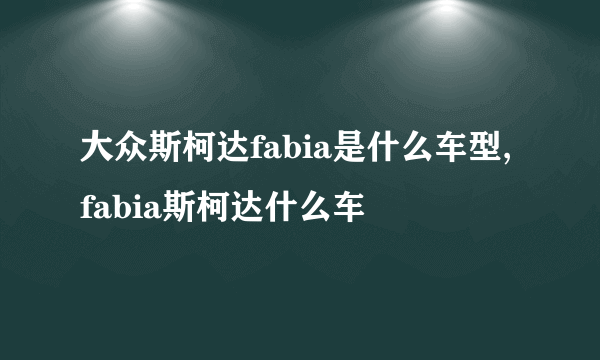 大众斯柯达fabia是什么车型,fabia斯柯达什么车