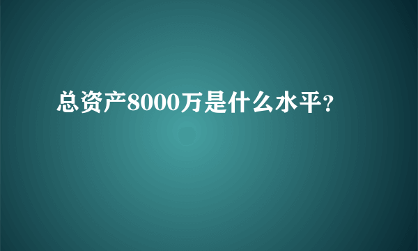 总资产8000万是什么水平？