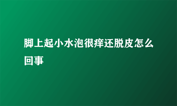 脚上起小水泡很痒还脱皮怎么回事