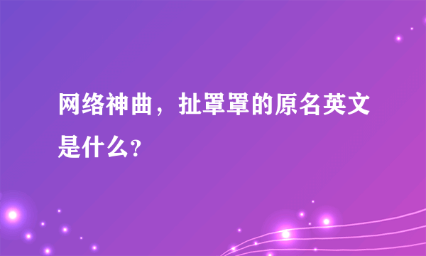 网络神曲，扯罩罩的原名英文是什么？