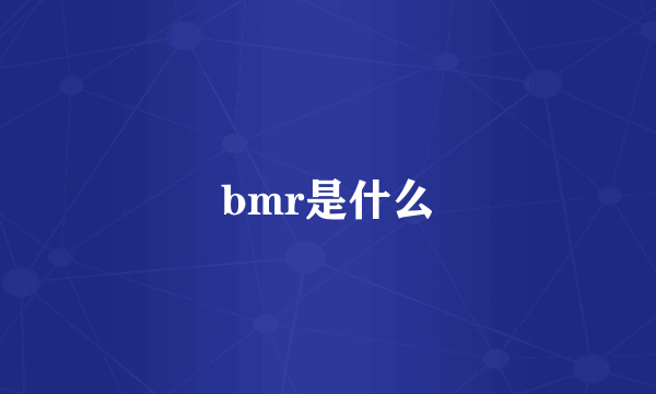 bmr是什么