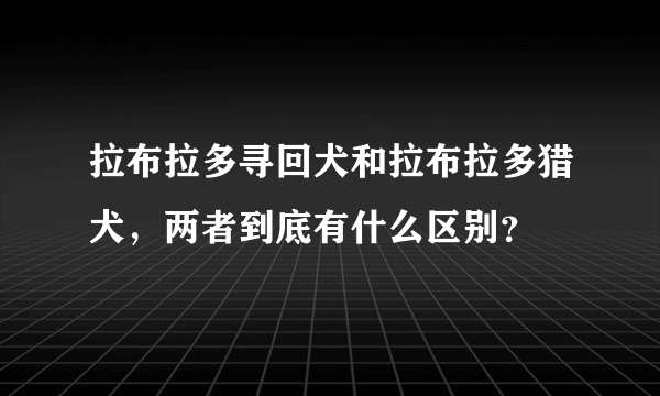 拉布拉多寻回犬和拉布拉多猎犬，两者到底有什么区别？