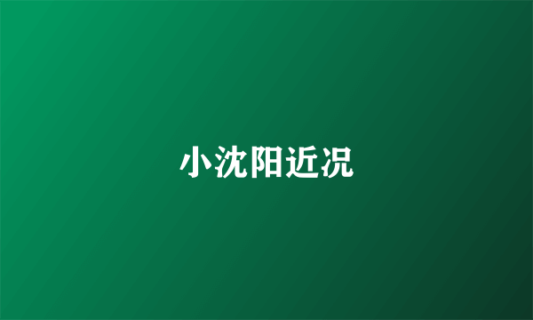 小沈阳近况