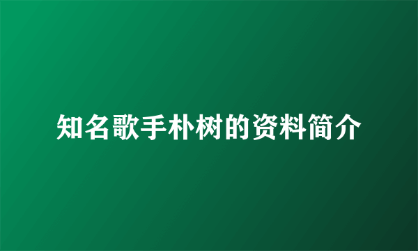 知名歌手朴树的资料简介