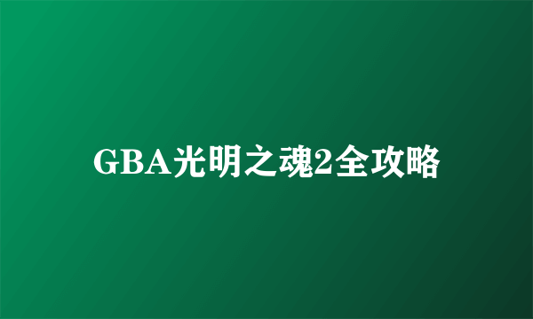 GBA光明之魂2全攻略