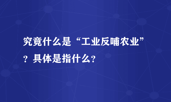 究竟什么是“工业反哺农业”？具体是指什么？