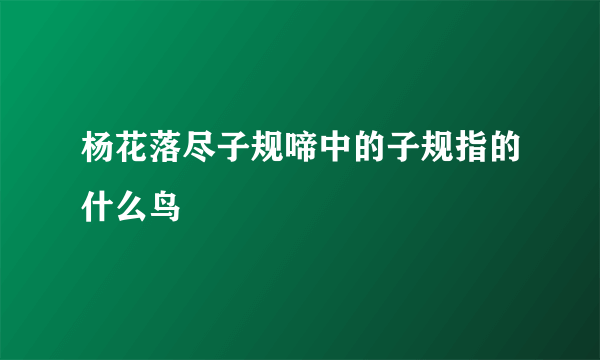 杨花落尽子规啼中的子规指的什么鸟