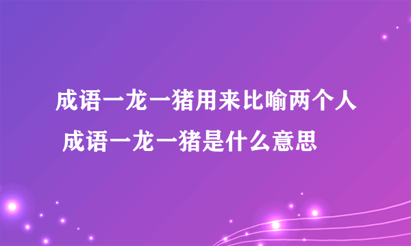 成语一龙一猪用来比喻两个人 成语一龙一猪是什么意思