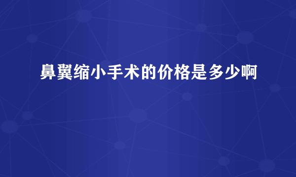 鼻翼缩小手术的价格是多少啊