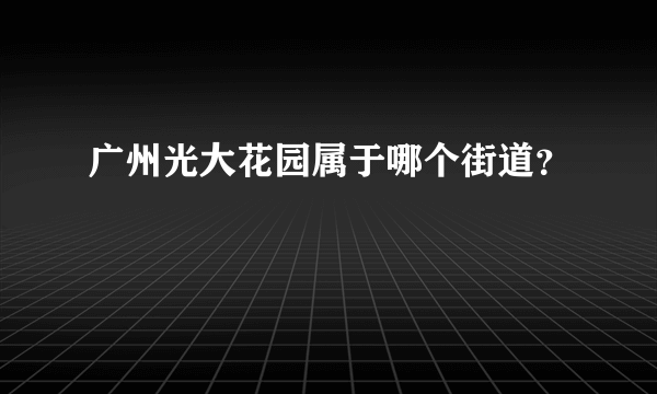 广州光大花园属于哪个街道？