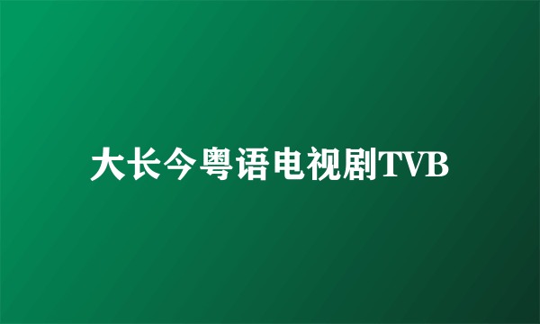 大长今粤语电视剧TVB