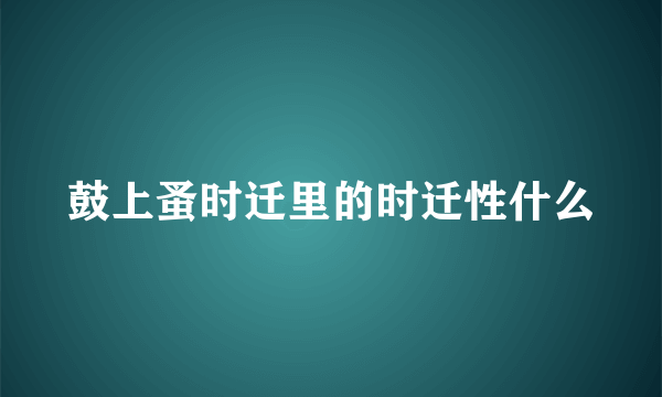 鼓上蚤时迁里的时迁性什么