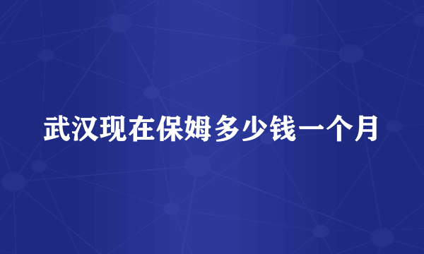 武汉现在保姆多少钱一个月