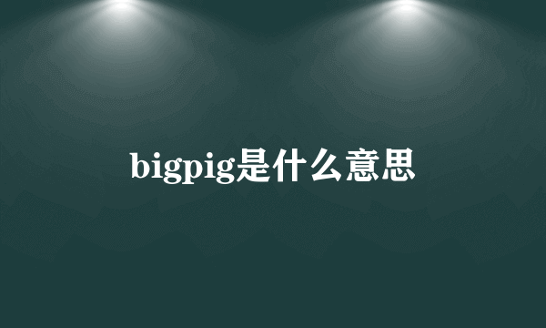 bigpig是什么意思