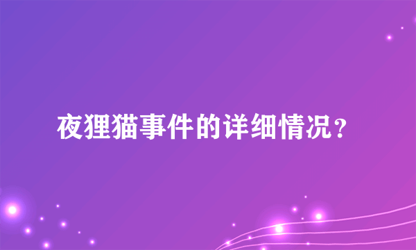 夜狸猫事件的详细情况？