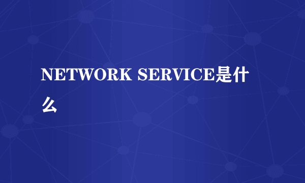 NETWORK SERVICE是什么