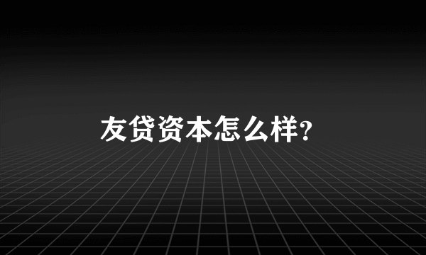 友贷资本怎么样？