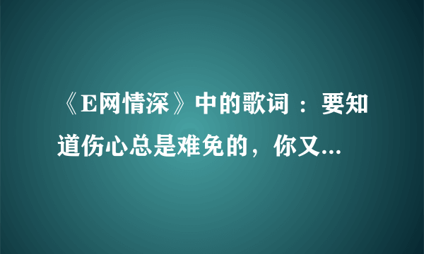 《E网情深》中的歌词 ：要知道伤心总是难免的，你又何苦一往情深。这个歌名叫什么