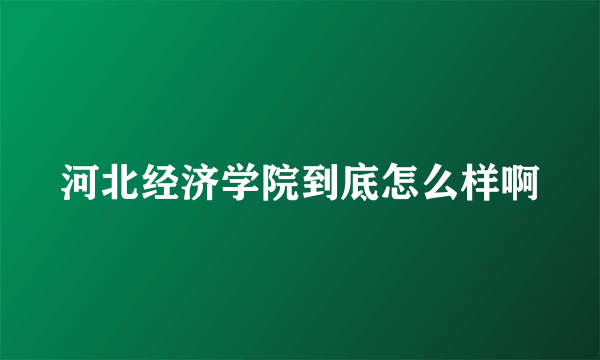 河北经济学院到底怎么样啊