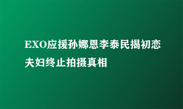 EXO应援孙娜恩李泰民揭初恋夫妇终止拍摄真相