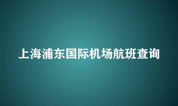 上海浦东国际机场航班查询