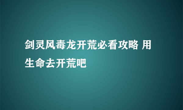 剑灵风毒龙开荒必看攻略 用生命去开荒吧