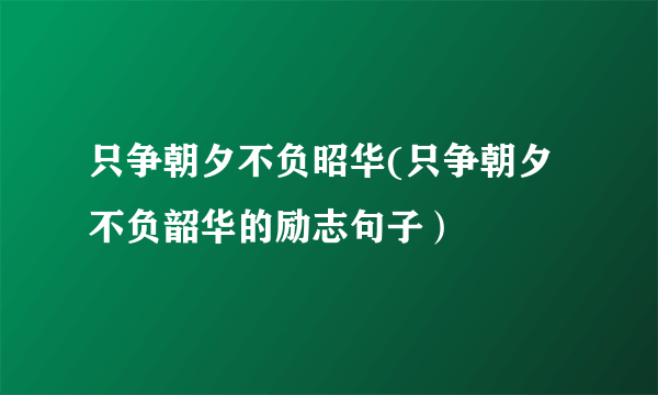 只争朝夕不负昭华(只争朝夕不负韶华的励志句子）