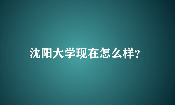 沈阳大学现在怎么样？