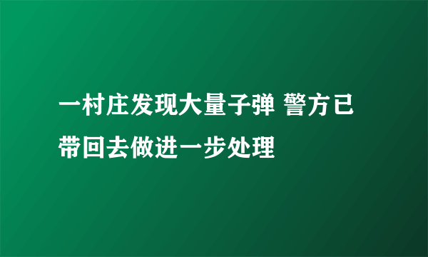 一村庄发现大量子弹 警方已带回去做进一步处理